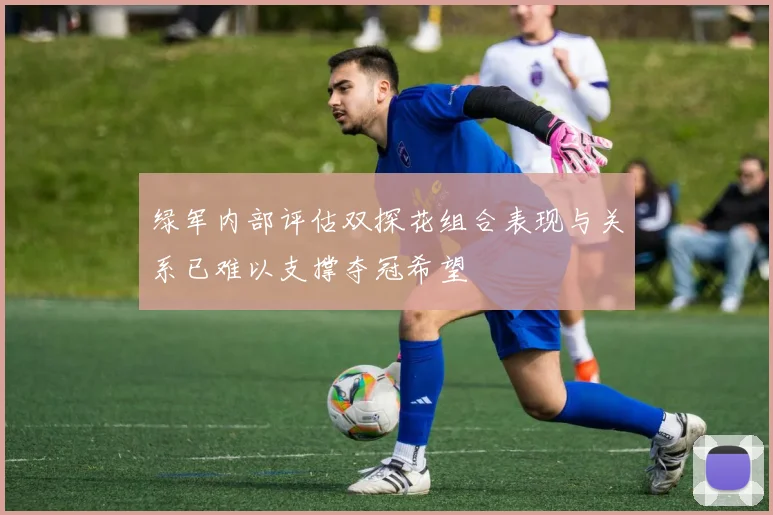 绿军内部评估双探花组合表现与关系已难以支撑夺冠希望